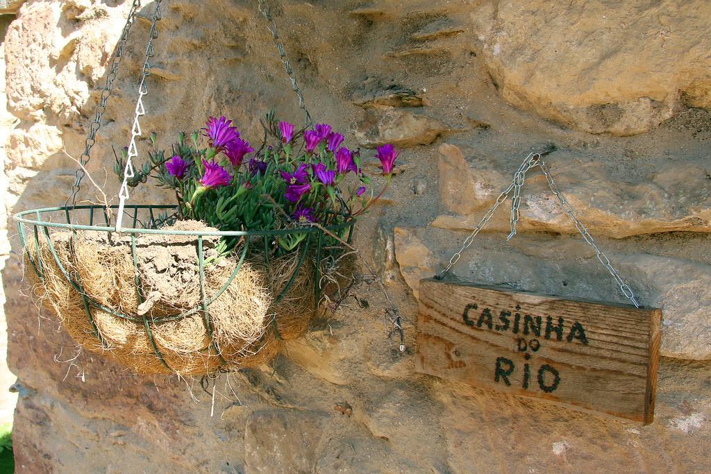 Sete Quintas Miranda do Corvo Extérieur photo